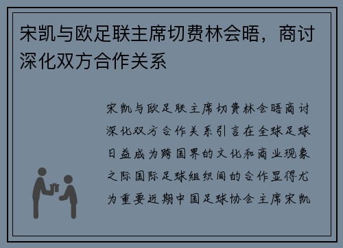 宋凯与欧足联主席切费林会晤，商讨深化双方合作关系