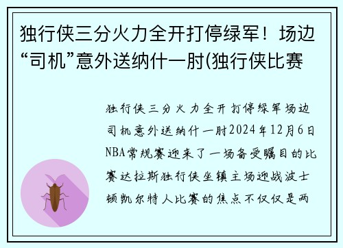 独行侠三分火力全开打停绿军！场边“司机”意外送纳什一肘(独行侠比赛视频)